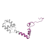 The deposited structure of PDB entry 4b3m contains 1 copy of CATH domain 4.10.910.10 (30s ribosomal protein s13; domain 2) in Small ribosomal subunit protein uS13. Showing 1 copy in chain M.