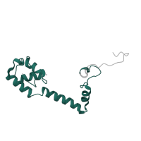The deposited structure of PDB entry 4b3m contains 1 copy of Pfam domain PF00416 (Ribosomal protein S13/S18) in Small ribosomal subunit protein uS13. Showing 1 copy in chain M.