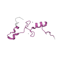 The deposited structure of PDB entry 4b3m contains 1 copy of Pfam domain PF00253 (Ribosomal protein S14p/S29e) in Small ribosomal subunit protein uS14. Showing 1 copy in chain N.