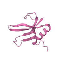 The deposited structure of PDB entry 4b3m contains 1 copy of CATH domain 3.30.1320.10 (S16 Ribosomal Protein; Chain: A;) in Small ribosomal subunit protein bS16. Showing 1 copy in chain P.