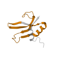The deposited structure of PDB entry 4b3m contains 1 copy of Pfam domain PF00886 (Ribosomal protein S16) in Small ribosomal subunit protein bS16. Showing 1 copy in chain P.
