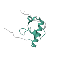 The deposited structure of PDB entry 4b3m contains 1 copy of Pfam domain PF01084 (Ribosomal protein S18) in Small ribosomal subunit protein bS18. Showing 1 copy in chain R.