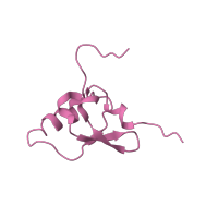 The deposited structure of PDB entry 4b3m contains 1 copy of CATH domain 3.30.860.10 (30s Ribosomal Protein S19; Chain A) in Small ribosomal subunit protein uS19. Showing 1 copy in chain S.