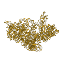 The deposited structure of PDB entry 4b3m contains 1 copy of Rfam domain RF00177 (Bacterial small subunit ribosomal RNA) in 16S ribosomal RNA. Showing 1 copy in chain A.