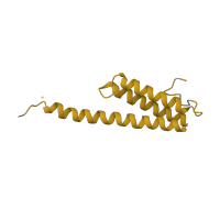 The deposited structure of PDB entry 4b3m contains 1 copy of CATH domain 1.20.58.110 (Methane Monooxygenase Hydroxylase; Chain G, domain 1) in Small ribosomal subunit protein bS20. Showing 1 copy in chain T.