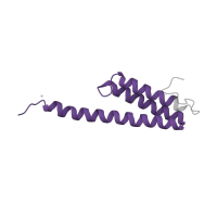 The deposited structure of PDB entry 4b3m contains 1 copy of Pfam domain PF01649 (Ribosomal protein S20) in Small ribosomal subunit protein bS20. Showing 1 copy in chain T.