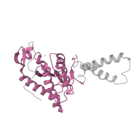 The deposited structure of PDB entry 4b3m contains 1 copy of CATH domain 3.40.50.10490 (Rossmann fold) in Small ribosomal subunit protein uS2. Showing 1 copy in chain B.