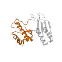 The deposited structure of PDB entry 4b3m contains 1 copy of CATH domain 3.30.300.20 (GMP Synthetase; Chain A, domain 3) in Small ribosomal subunit protein uS3. Showing 1 copy in chain C.