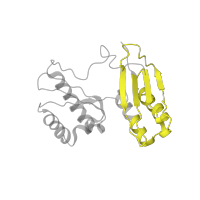 The deposited structure of PDB entry 4b3m contains 1 copy of Pfam domain PF00189 (Ribosomal protein S3, C-terminal domain) in Small ribosomal subunit protein uS3. Showing 1 copy in chain C.
