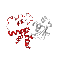 The deposited structure of PDB entry 4b3m contains 1 copy of CATH domain 1.10.1050.10 (Ribosomal Protein S4 Delta 41; Chain A, domain 1) in Small ribosomal subunit protein uS4. Showing 1 copy in chain D.