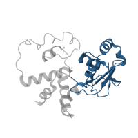 The deposited structure of PDB entry 4b3m contains 1 copy of CATH domain 3.10.290.10 (Structural Genomics Hypothetical 15.5 Kd Protein In mrcA-pckA Intergenic Region; Chain A) in Small ribosomal subunit protein uS4. Showing 1 copy in chain D.