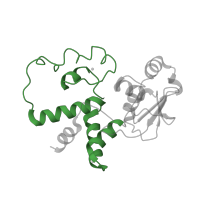 The deposited structure of PDB entry 4b3m contains 1 copy of Pfam domain PF00163 (Ribosomal protein S4/S9 N-terminal domain) in Small ribosomal subunit protein uS4. Showing 1 copy in chain D.