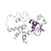 The deposited structure of PDB entry 4b3m contains 1 copy of Pfam domain PF01479 (S4 domain) in Small ribosomal subunit protein uS4. Showing 1 copy in chain D.