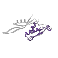 The deposited structure of PDB entry 4b3m contains 1 copy of Pfam domain PF03719 (Ribosomal protein S5, C-terminal domain) in Small ribosomal subunit protein uS5. Showing 1 copy in chain E.