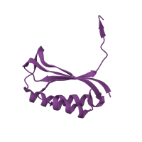 The deposited structure of PDB entry 4b3m contains 1 copy of CATH domain 3.30.70.60 (Alpha-Beta Plaits) in Small ribosomal subunit protein bS6. Showing 1 copy in chain F.