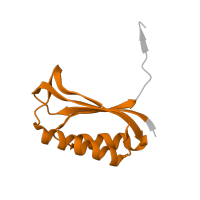 The deposited structure of PDB entry 4b3m contains 1 copy of Pfam domain PF01250 (Ribosomal protein S6) in Small ribosomal subunit protein bS6. Showing 1 copy in chain F.