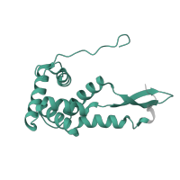 The deposited structure of PDB entry 4b3m contains 1 copy of Pfam domain PF00177 (Ribosomal protein S7p/S5e) in Small ribosomal subunit protein uS7. Showing 1 copy in chain G.