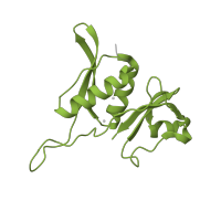 The deposited structure of PDB entry 4b3m contains 1 copy of Pfam domain PF00410 (Ribosomal protein S8) in Small ribosomal subunit protein uS8. Showing 1 copy in chain H.