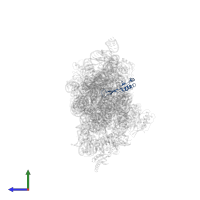 Small ribosomal subunit protein uS10 in PDB entry 4b3s, assembly 1, side view.