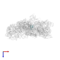 Small ribosomal subunit protein bS18 in PDB entry 4b3s, assembly 1, top view.