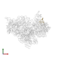 Small ribosomal subunit protein uS19 in PDB entry 4b3s, assembly 1, front view.