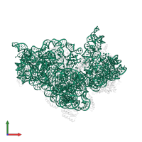 16S ribosomal RNA in PDB entry 4b3s, assembly 1, front view.