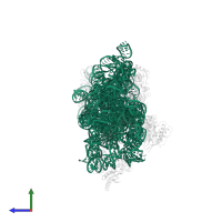 16S ribosomal RNA in PDB entry 4b3s, assembly 1, side view.