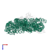 16S ribosomal RNA in PDB entry 4b3s, assembly 1, top view.