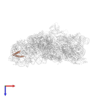 Small ribosomal subunit protein bS20 in PDB entry 4b3s, assembly 1, top view.