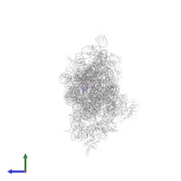 Small ribosomal subunit protein bTHX in PDB entry 4b3s, assembly 1, side view.