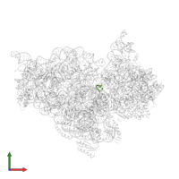 5'-R(*UP*UP*CP*AP*AP*AP)-3' in PDB entry 4b3s, assembly 1, front view.