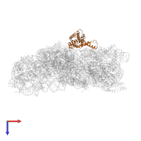 Small ribosomal subunit protein uS2 in PDB entry 4b3s, assembly 1, top view.