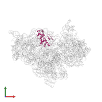 Small ribosomal subunit protein uS4 in PDB entry 4b3s, assembly 1, front view.