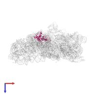 Small ribosomal subunit protein uS4 in PDB entry 4b3s, assembly 1, top view.