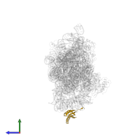 Small ribosomal subunit protein bS6 in PDB entry 4b3s, assembly 1, side view.