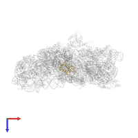 Small ribosomal subunit protein bS6 in PDB entry 4b3s, assembly 1, top view.