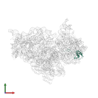 Small ribosomal subunit protein uS9 in PDB entry 4b3s, assembly 1, front view.