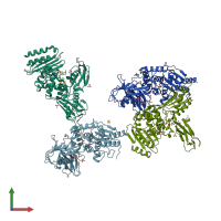 PDB entry 4b4z coloured by chain, front view.