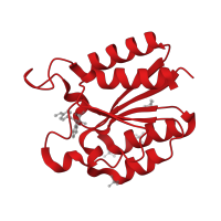 The deposited structure of PDB entry 4b6o contains 1 copy of CATH domain 3.40.50.9100 (Rossmann fold) in 3-dehydroquinate dehydratase. Showing 1 copy in chain A.