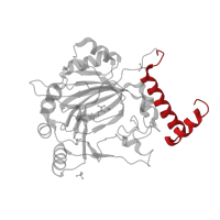 The deposited structure of PDB entry 4b7k contains 1 copy of CATH domain 1.10.287.1010 (Helix Hairpins) in Hypoxia-inducible factor 1-alpha inhibitor. Showing 1 copy in chain A.