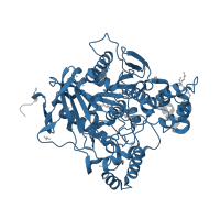 The deposited structure of PDB entry 4b83 contains 2 copies of Pfam domain PF00135 (Carboxylesterase family) in Acetylcholinesterase. Showing 1 copy in chain A.