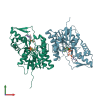 PDB entry 4b8w coloured by chain, front view.