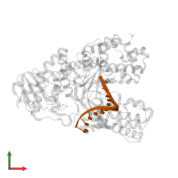 5'-D(*GP*CP*CP*TP*GP*AP*CP*TP*CP*GP*AP)-3' in PDB entry 4b9u, assembly 1, front view.