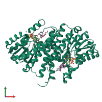 Homo dimeric assembly 1 of PDB entry 4bb6 coloured by chemically distinct molecules, front view.