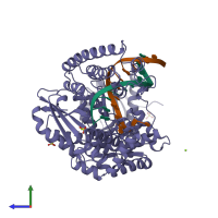 PDB entry 4bdp coloured by chain, side view.