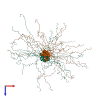 PDB entry 4beh coloured by chain, ensemble of 20 models, top view.