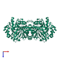 Broad specificity amino-acid racemase in PDB entry 4beq, assembly 1, top view.