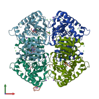 PDB entry 4bgu coloured by chain, front view.