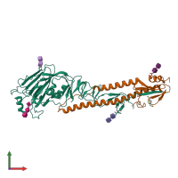 PDB entry 4bgy coloured by chain, front view.