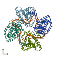 PDB entry 4bhh coloured by chain, front view.